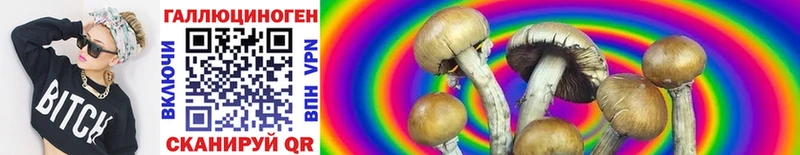 как найти закладки  Олонец  Псилоцибиновые грибы Psilocybine cubensis 
